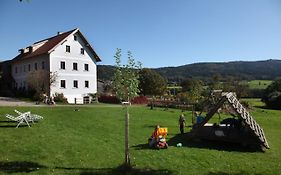 Hanauerhof